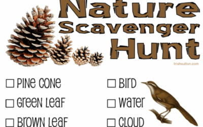 Discover the Adventure of Nature Scavenger Hunts